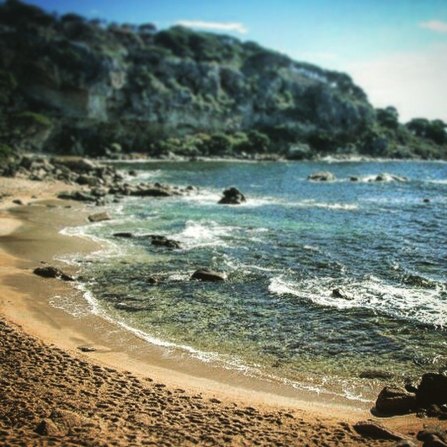 Picture of a beach in Australia.